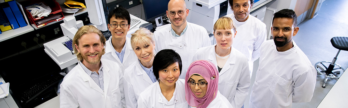 Expand your knowledge