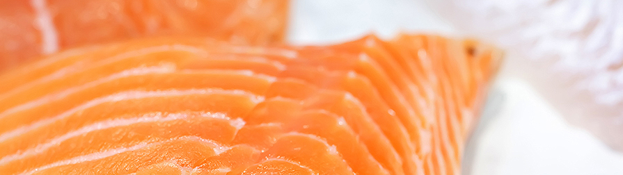 Aquatics Division close up of salmon