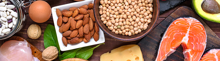 Protein Division closeup on fish and other seafood