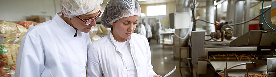 Quality Assurance two scientists with headcovers looking at paper in an industry setting