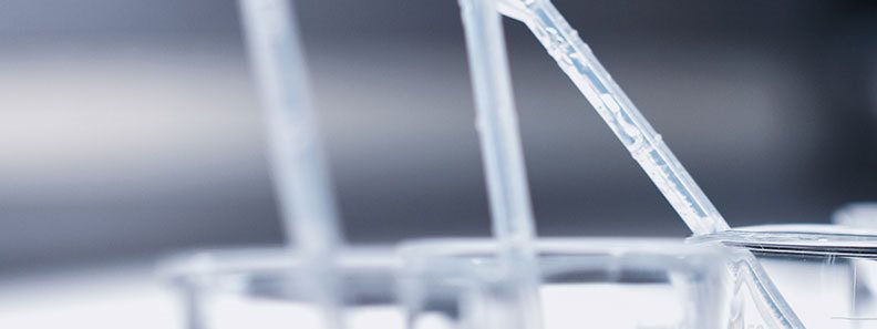 More student opportunities