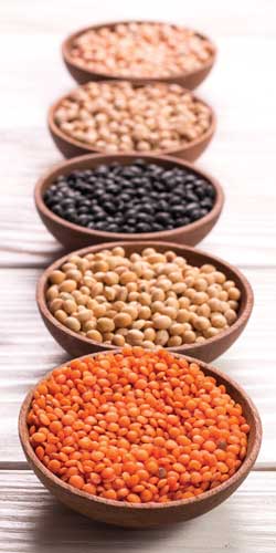 Pulses