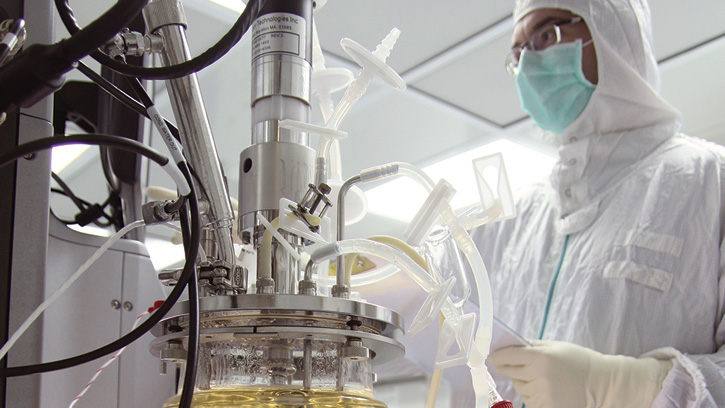 Biotechnology company Pluristem 