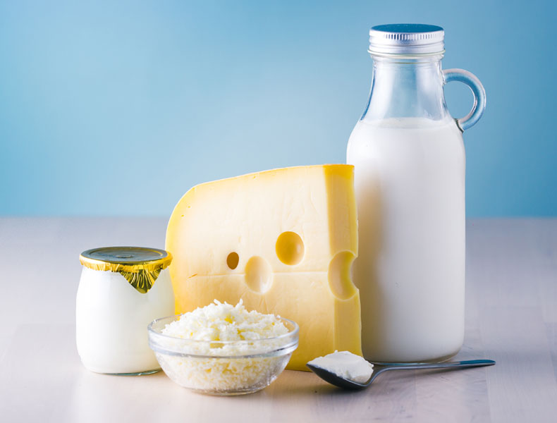 Dairy products such as milk, cheese, egg, yogurt and butter.
