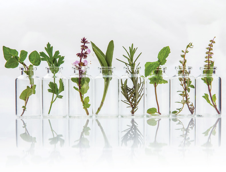 Bottle of essential oil with herb holy basil leaf, rosemary,oregano, sage,basil and mint