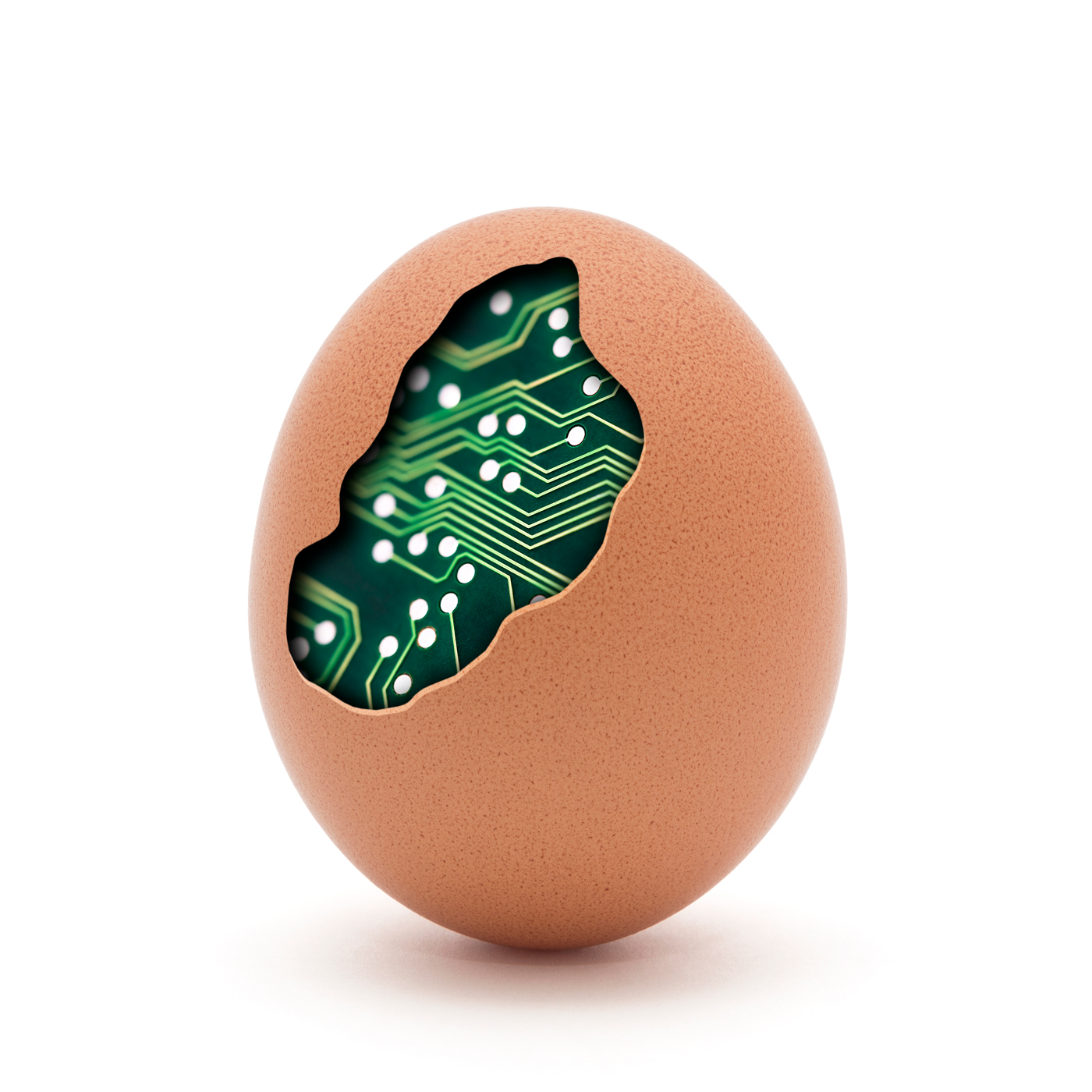 computer egg