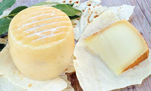 Sheep&rsquo;s milk cheese