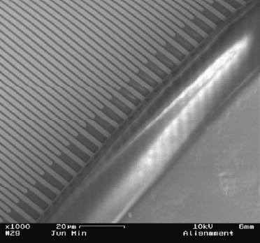 Fig. 6—Interdigitated ultramicroelectrode arrays aligned in the microchannel of the bioanalytical microsystem.