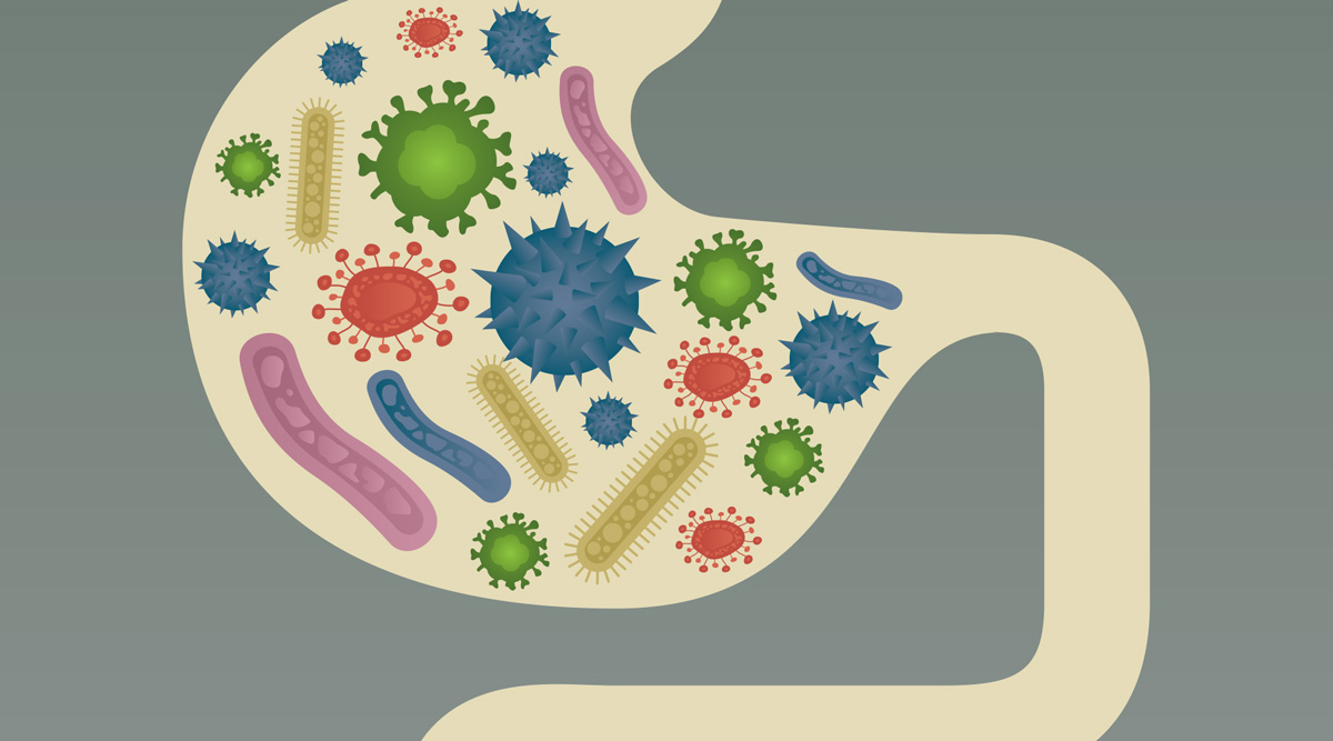 Feeding the Gut Microbiome