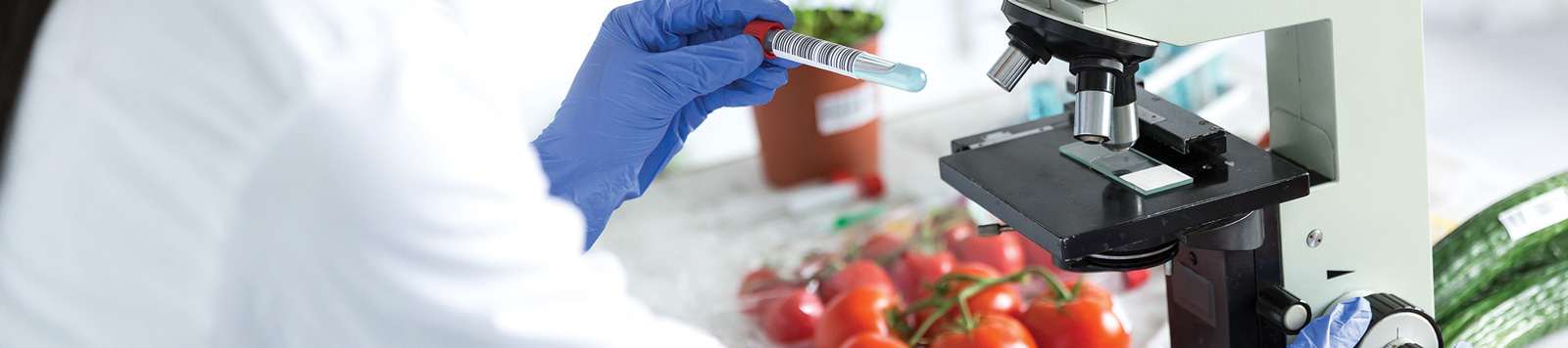 Funding: Laboratory Microscope