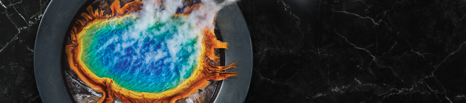 How Radical Innovation Will Shape the Future of Food