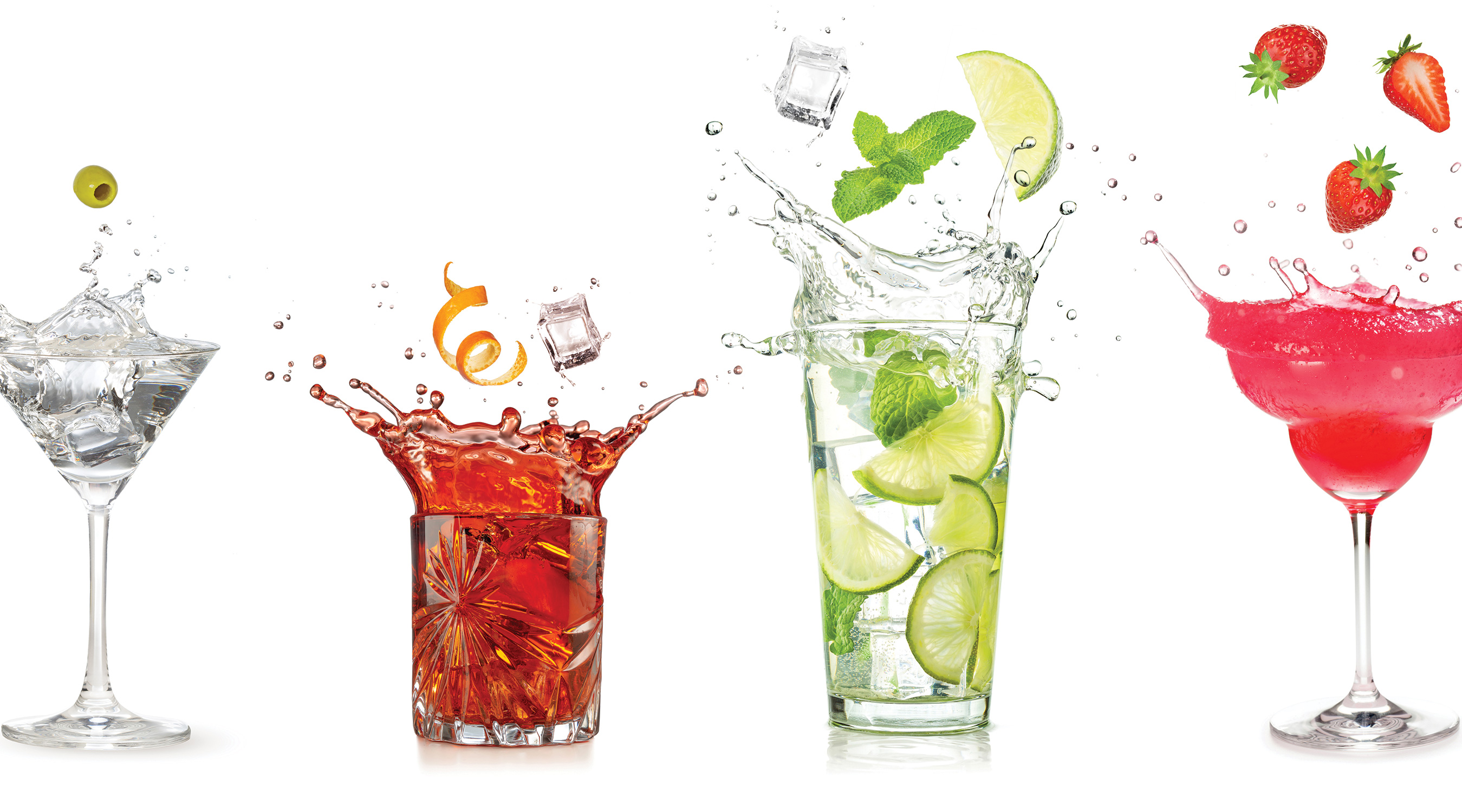 Bears Nutrition Immunity Nourishment