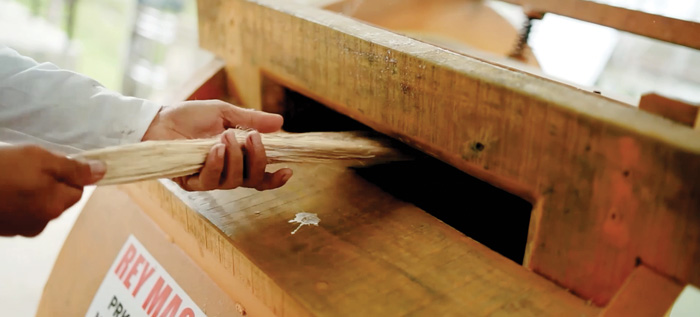 fibers from banana stems