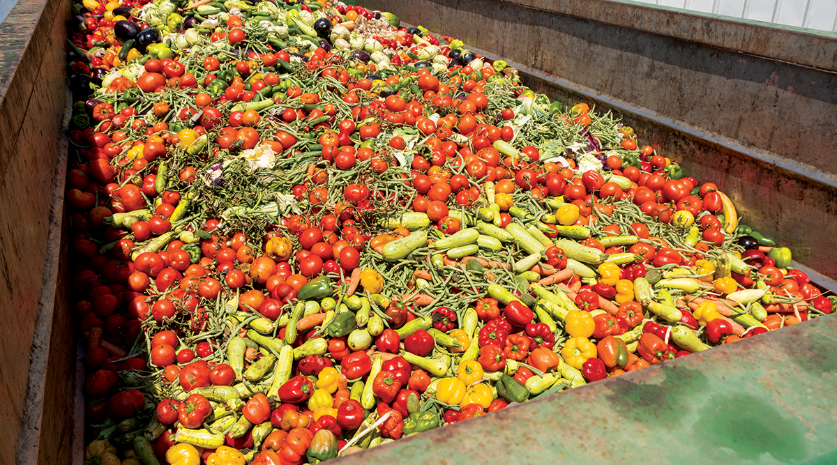 food waste in dumpster