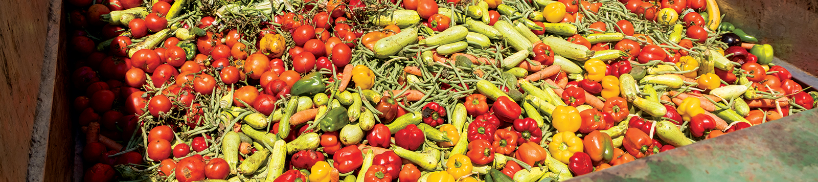 food waste in dumpster