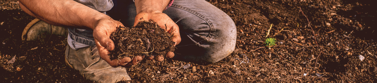 Hands in Soil