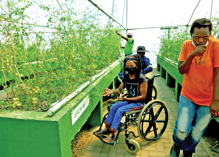 Free State, South Africa. INMED Aquaponics is designed to be gender equitable and inclusive of people with disabilities