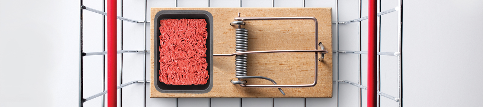 Metal basket with mouse trap baited with raw hamburger meat