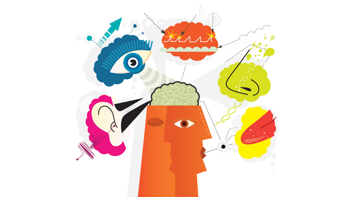 An Illustration of a Sensory Perception: showing a Five Human Senses: sense of Smell, sense of Taste, sense of Touch, sense of Hearing and sense of Sight.