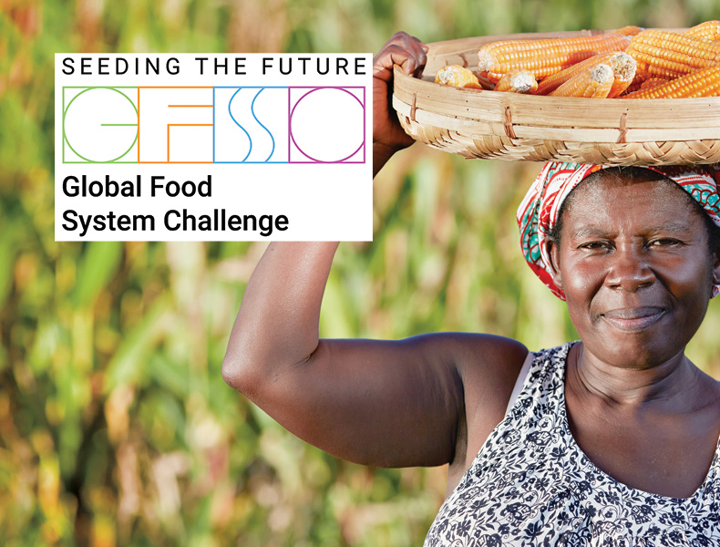 Women farming Maize in Zambia.
