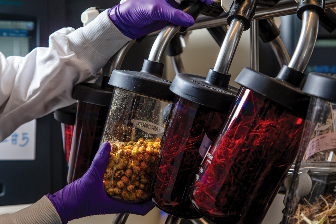 Creating a digital, molecular blueprint of plant samples