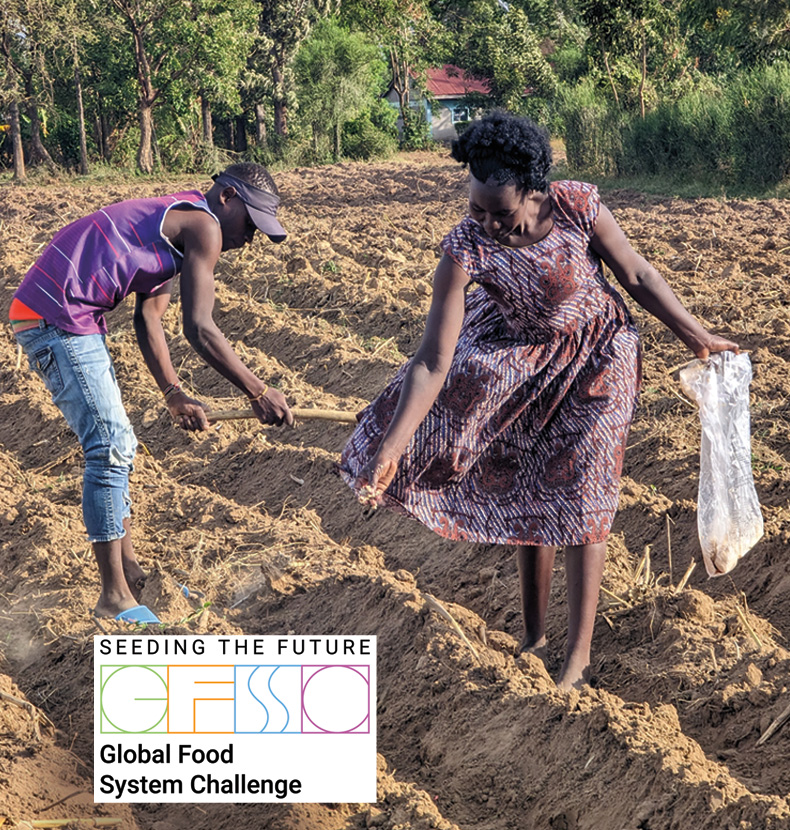 A fungal herbicide supplied by the Toothpick Company allows farmers in Africa to combat a pervasive threat to crops