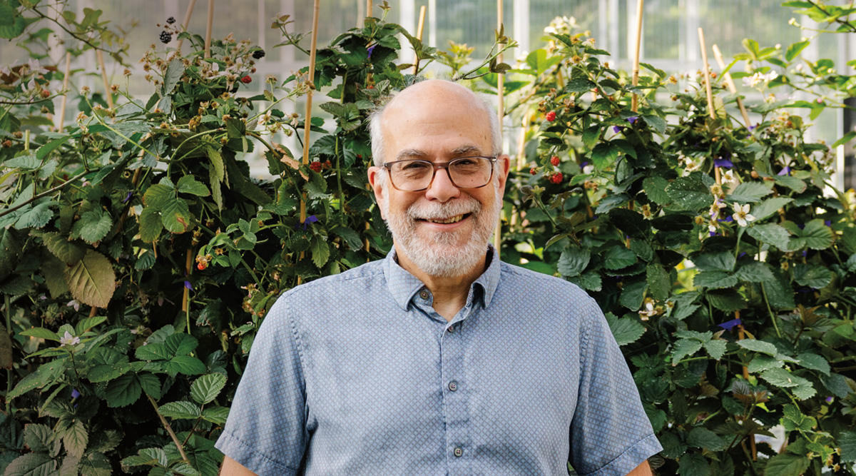 Tom Adams, Cofounder & CEO, Pairwise