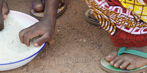 Food Science Matters