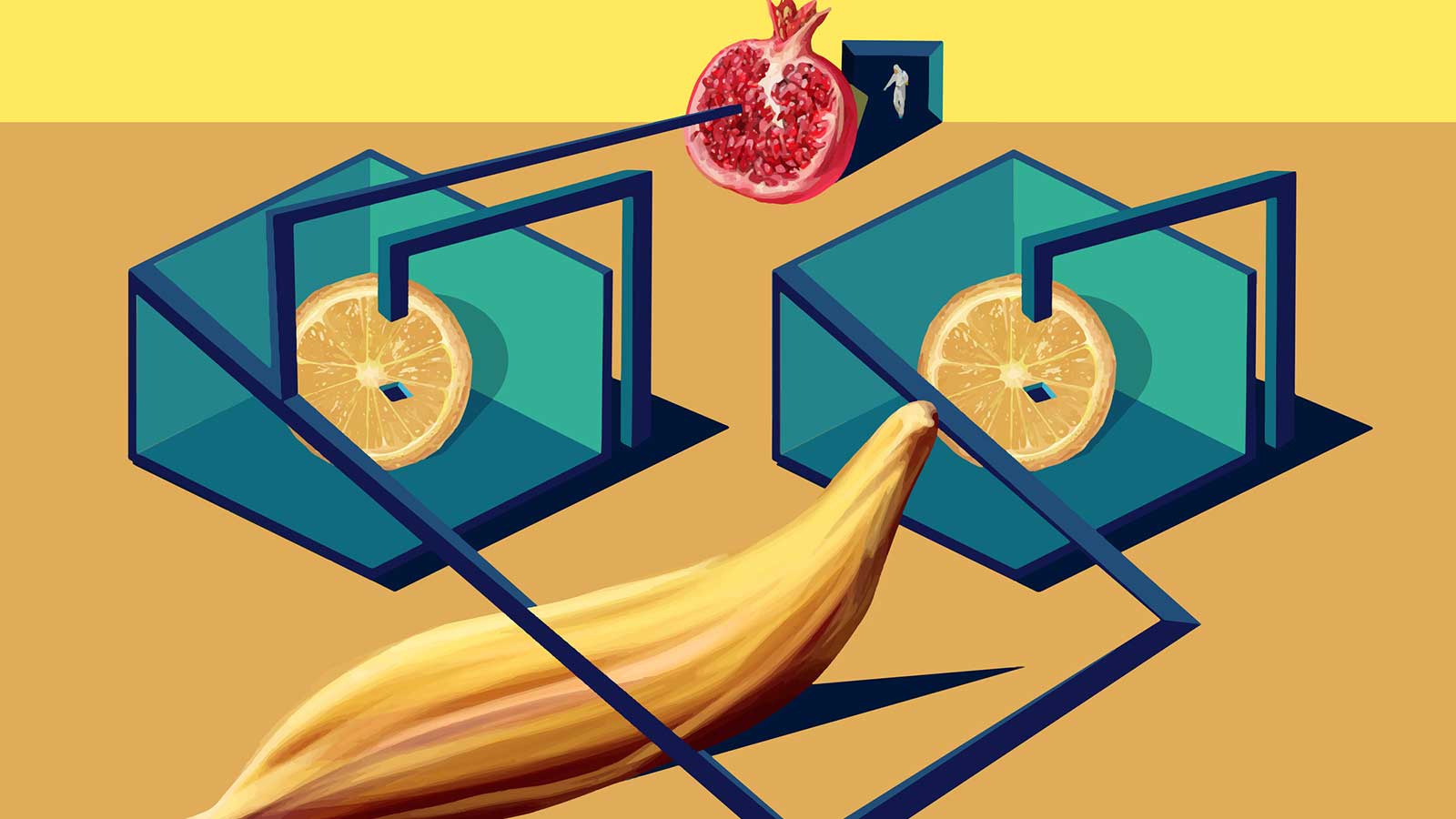 Omnivore EP 15 banana, oranges, and a pomegranate connected