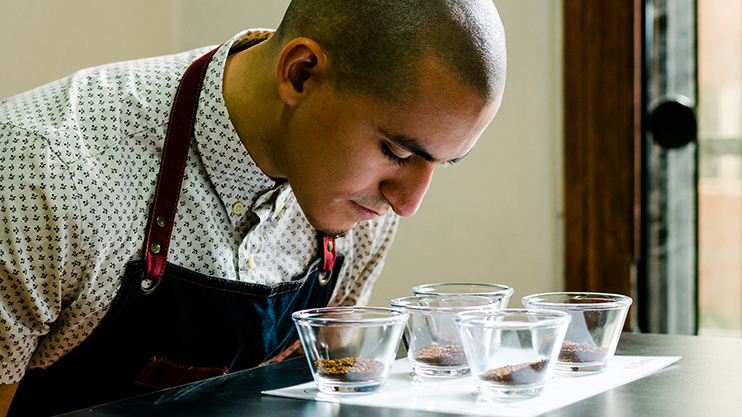 Male food industry coffee taster smelling and testing samples in glasses on a table.