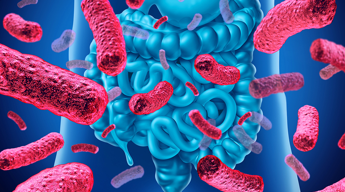 Microbiome Gut Health